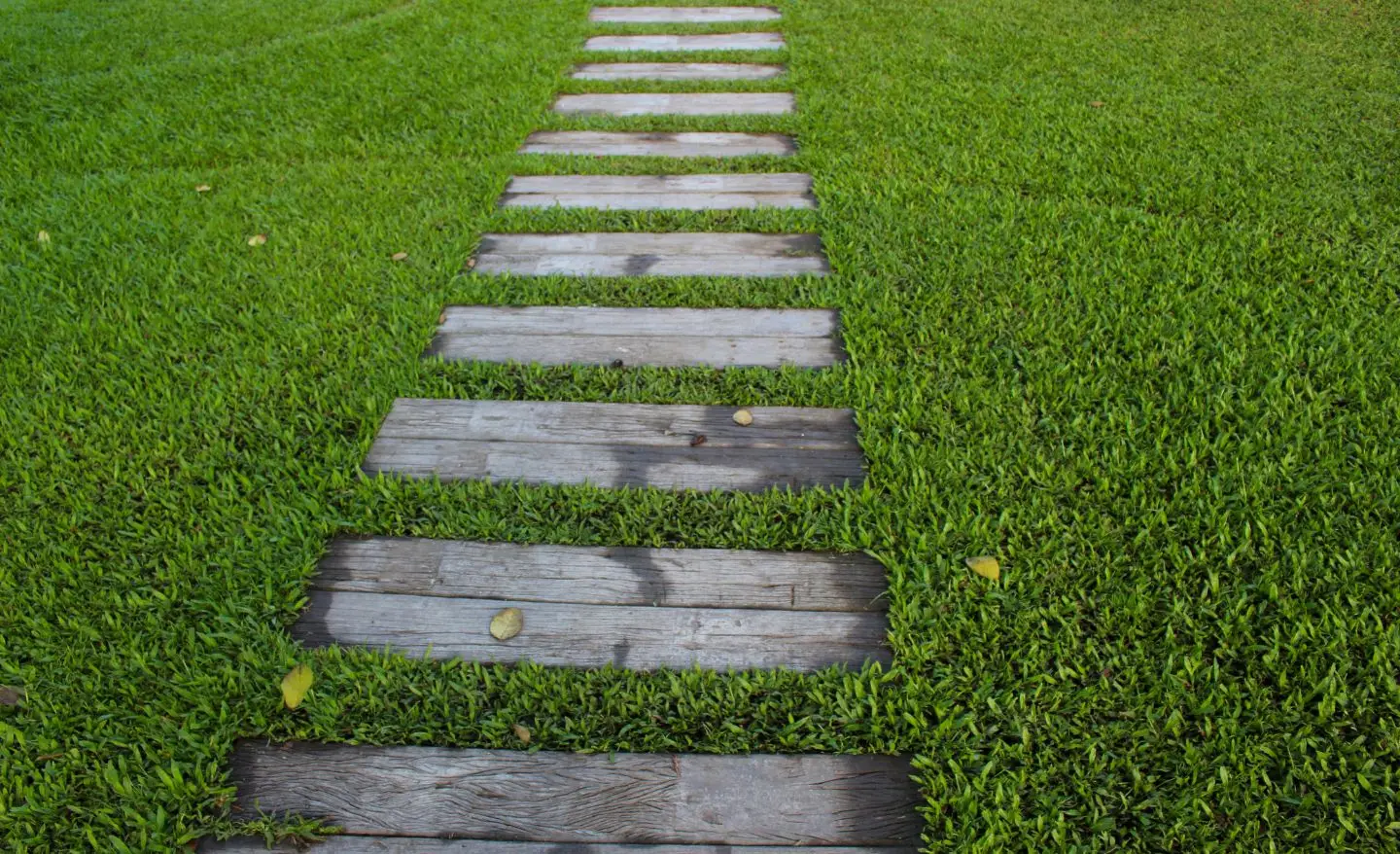 Canaletta salva-vialetto: il trucco economico per drenare l’acqua piovana dal vialetto a giugno