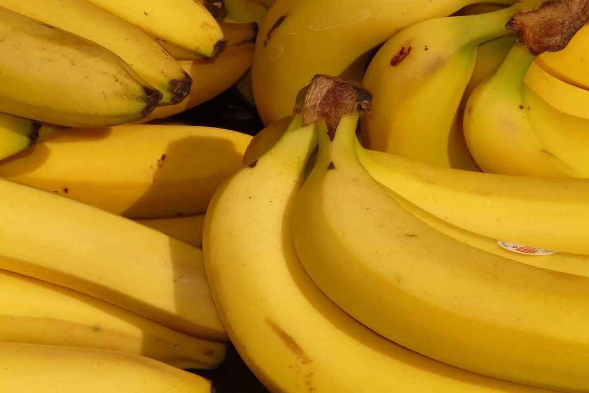 Mangiare banane ogni giorno: ecco cosa succede davvero al colesterolo